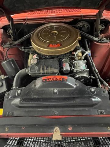 Ford Thunderbird image 4