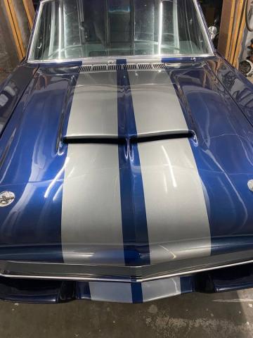Ford Mustang image 3