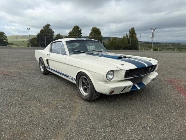 Ford Mustang image 3