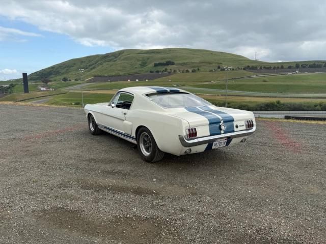 Ford Mustang image 7
