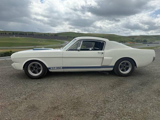 Ford Mustang image 2