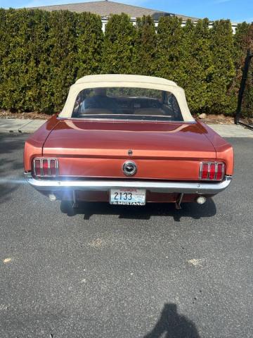 Ford Mustang Convertible image 4