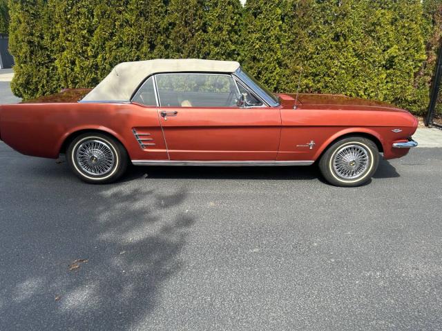 Ford Mustang Convertible image 8