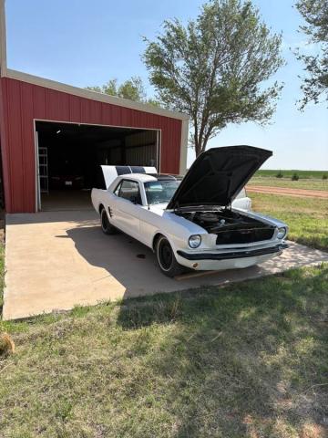 Ford Mustang image 5