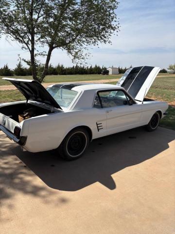 Ford Mustang image 4