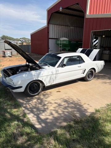 Ford Mustang image 3