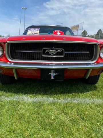 Ford Mustang image 4