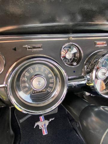 Ford Mustang image 3