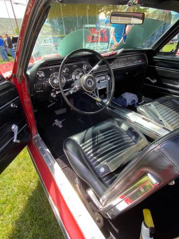 Ford Mustang image 8