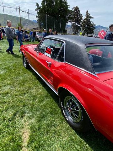 Ford Mustang image 9