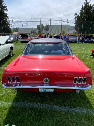 Ford Mustang image 2