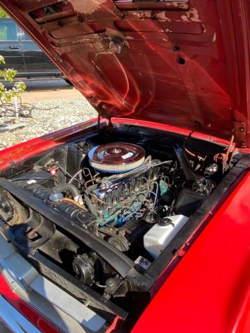Ford Mustang image 5