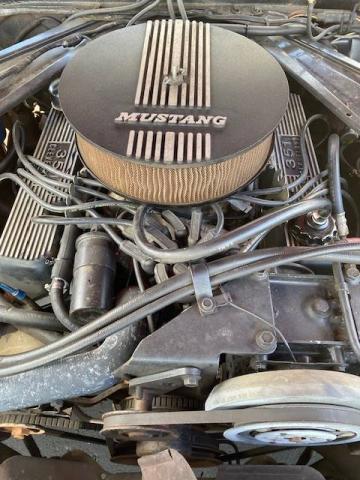 Ford Mustang Convertible image 6