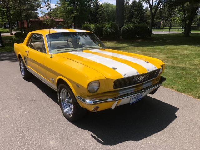 Ford Mustang image 2