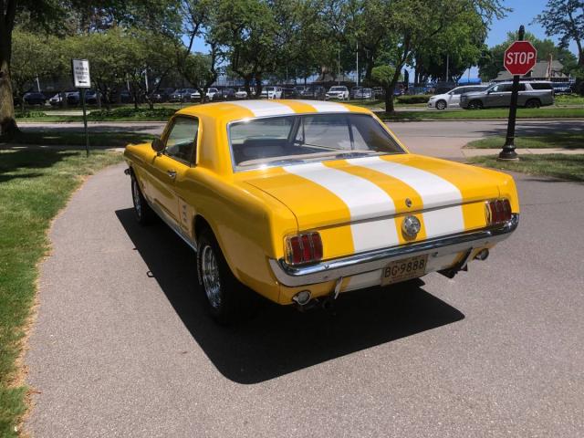 Ford Mustang image 7