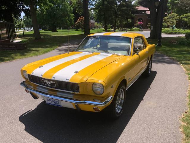 Ford Mustang image 5