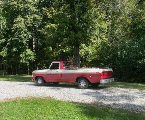 Ford F100 Ranger image 5