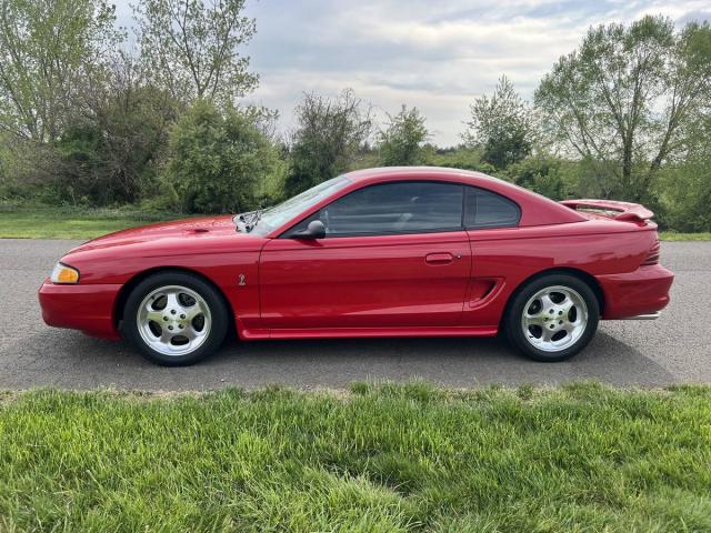 Ford Mustang Cobra image 9