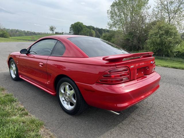 Ford Mustang Cobra image 3