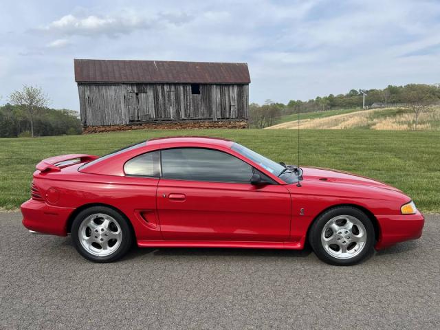 Ford Mustang Cobra image 5