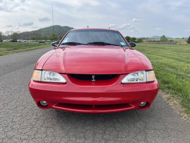 Ford Mustang Cobra image 1