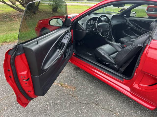 Ford Mustang Cobra image 4