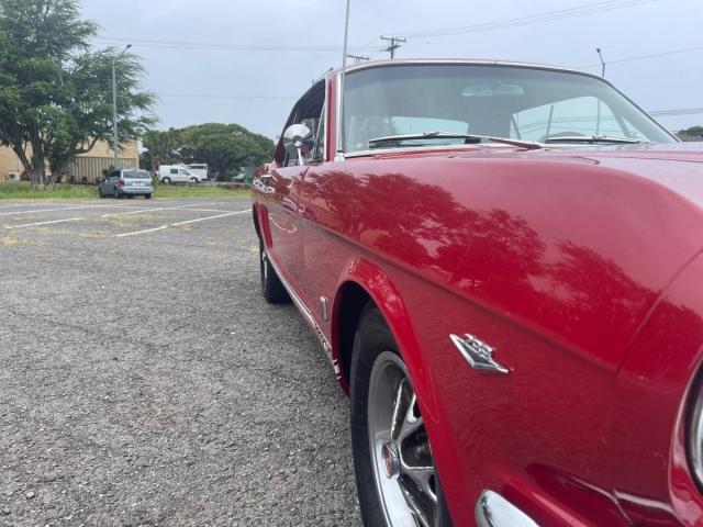 Ford Mustang image 5