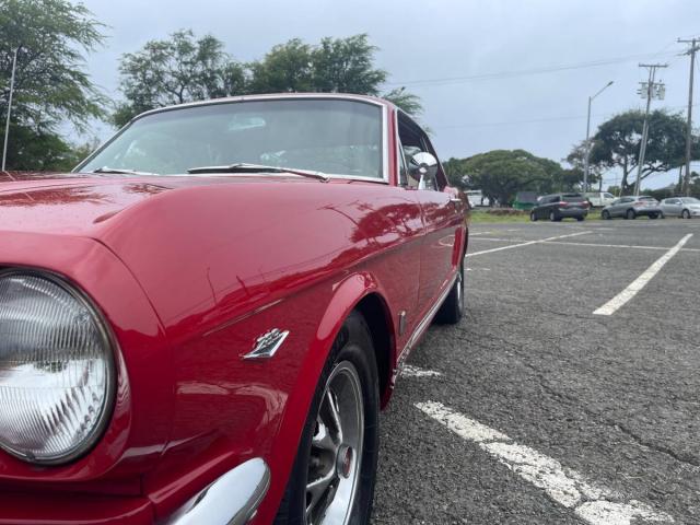 Ford Mustang image 9