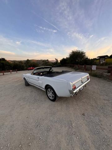 Ford Mustang Convertible image 6