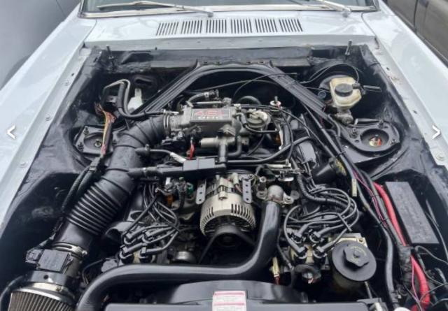 Ford Mustang Convertible image 9