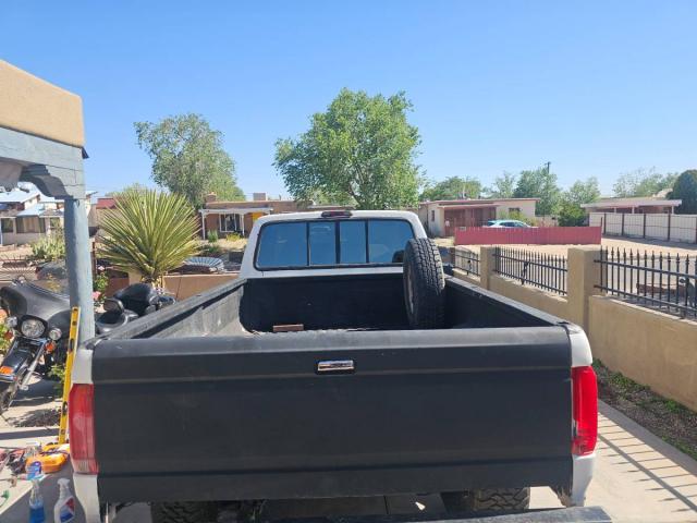 Ford F-250 Diesel image 3