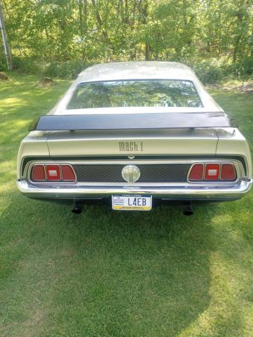 Ford Mustang Mach 1 image 8