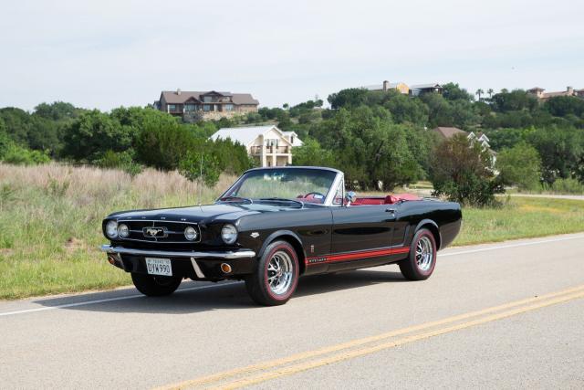 Ford Mustang image 3