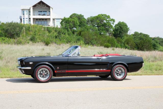 Ford Mustang image 4
