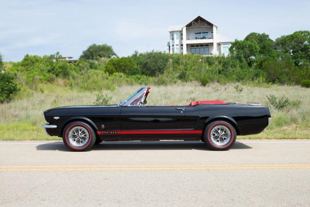 Ford Mustang image 1