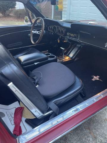 Ford Mustang image 3
