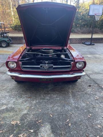 Ford Mustang image 7