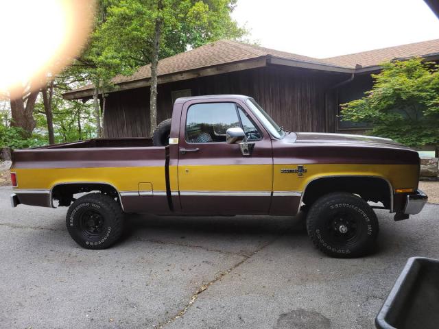 Chevrolet C/k Pickup 1/2 Ton image 6