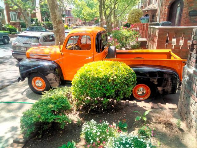 Ford F1 image 6