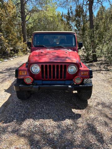 Jeep Wrangler image 3