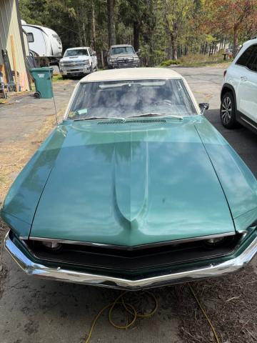 Ford Mustang image 3