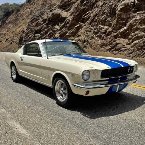 Ford Mustang image 4