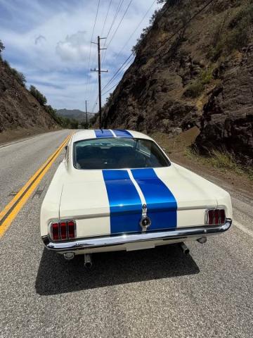 Ford Mustang image 7