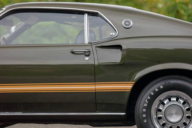 Ford Mustang image 1
