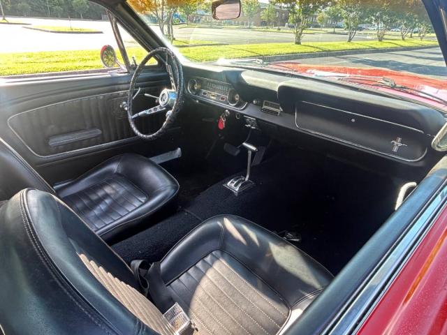 Ford Mustang image 5