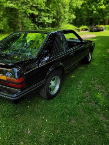 Ford Mustang image 6