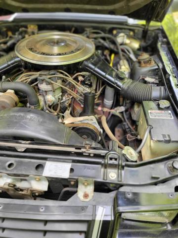 Ford Mustang image 4