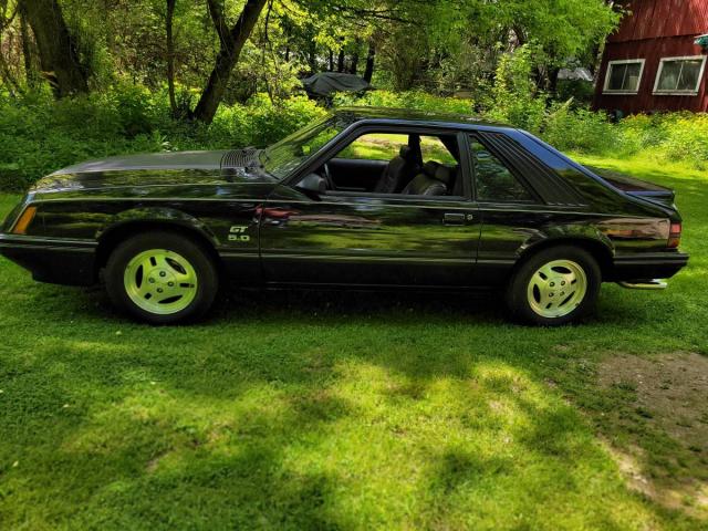 Ford Mustang image 3