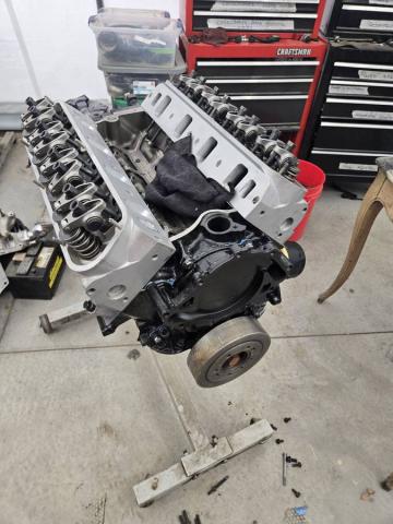Ford Mustang image 9