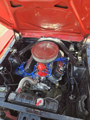 Ford Mustang image 1